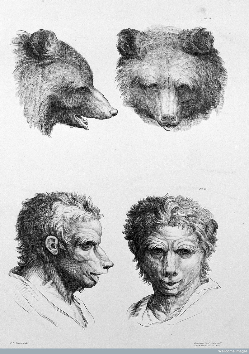 Illustration for article titled Baroque-Era Drawings Reveal Early Ideas About Evolution